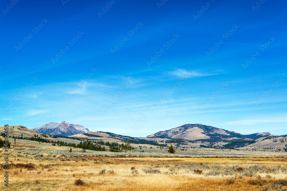 Fototapeta premium Yellowstone Landscape View