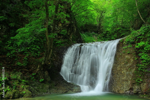 岩手県 夏の幣掛けの滝