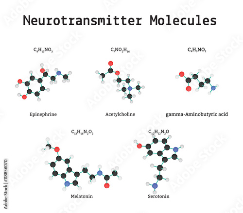 Neurotransmitter molecules set