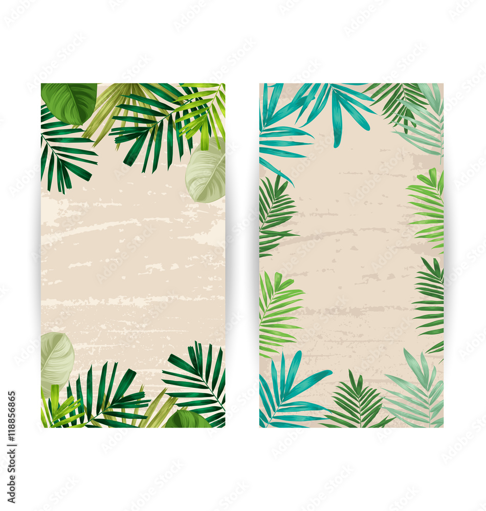 tropical plants banner
