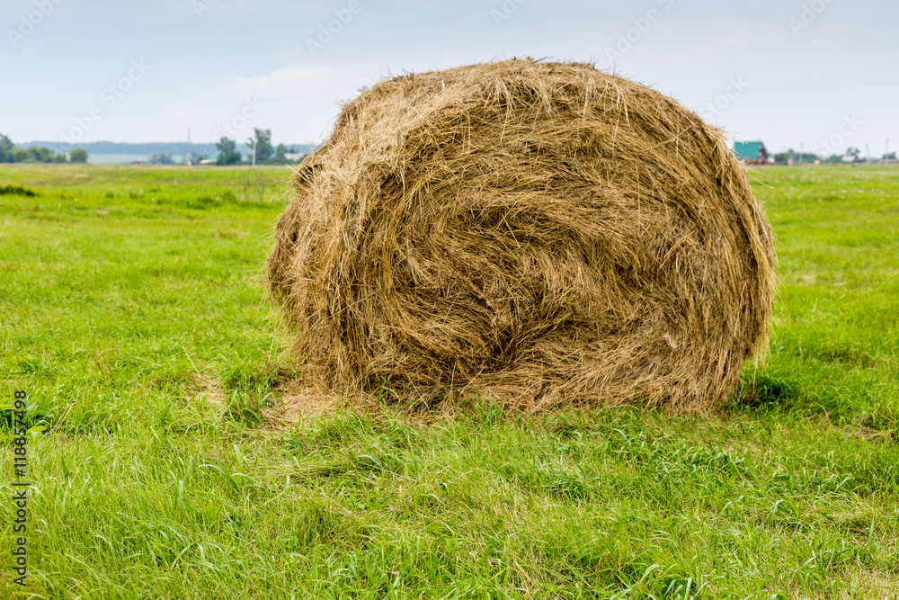 Round hay bale on green grass Round hay bale on green grass