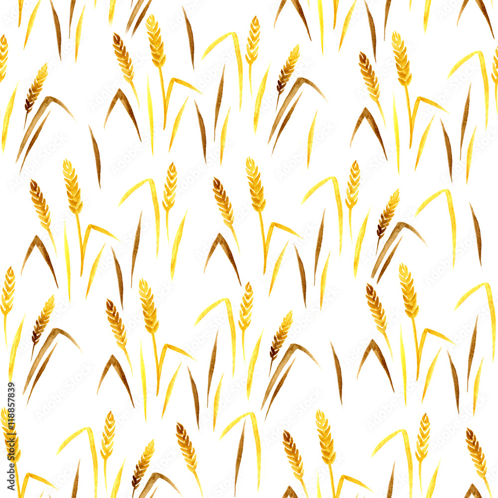 Seamless watercolor pattern with ear of wheat on the white background, aquarelle. Seamless watercolor pattern with ear of wheat on the white background, aquarelle.