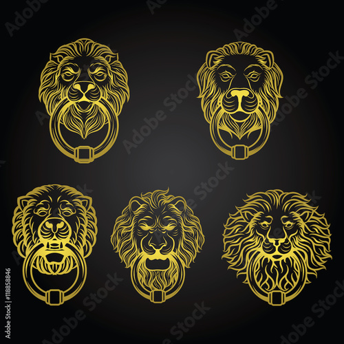 Lion Head Knocked Door