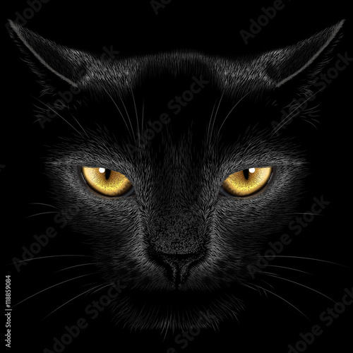Fototapeta Naklejka Na Ścianę i Meble -  Black cat on a black background