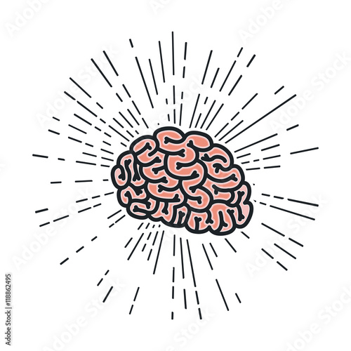 brain storm isolated icon vector illustration design