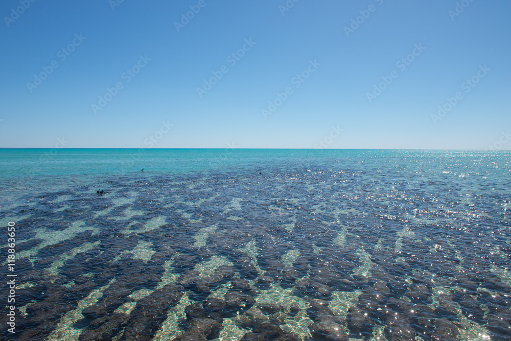 Panorama Stromatolites Shark Bay Australia