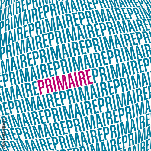 politique,primaires