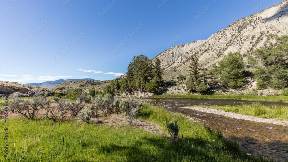 Green trees growing on the rocky river bank. Dark rough river. Scenic landscape at Boiling River Trail, Yellowstone National Park, Wyoming