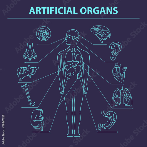 Artificial organs - Thin line 9