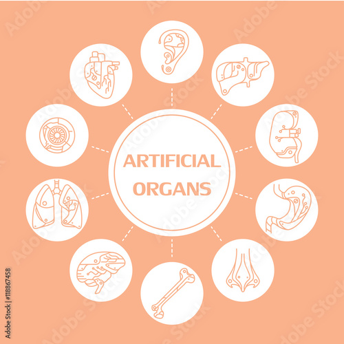 Thin line icons - artificial organs 12