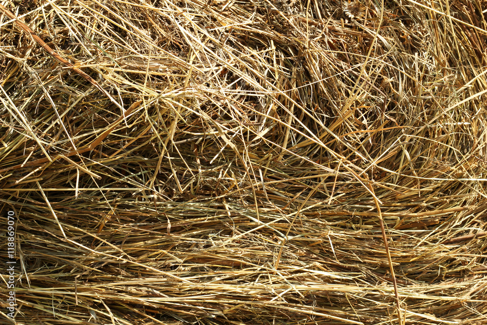 The straw background.