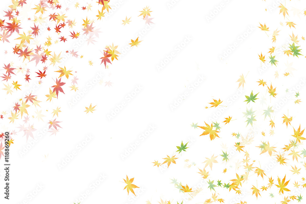 紅葉 カエデ 素材 紅葉 カエデ 素材