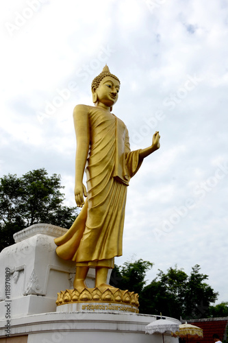 Buddha Stand Image