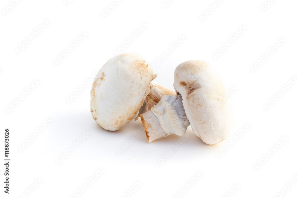 Champignons