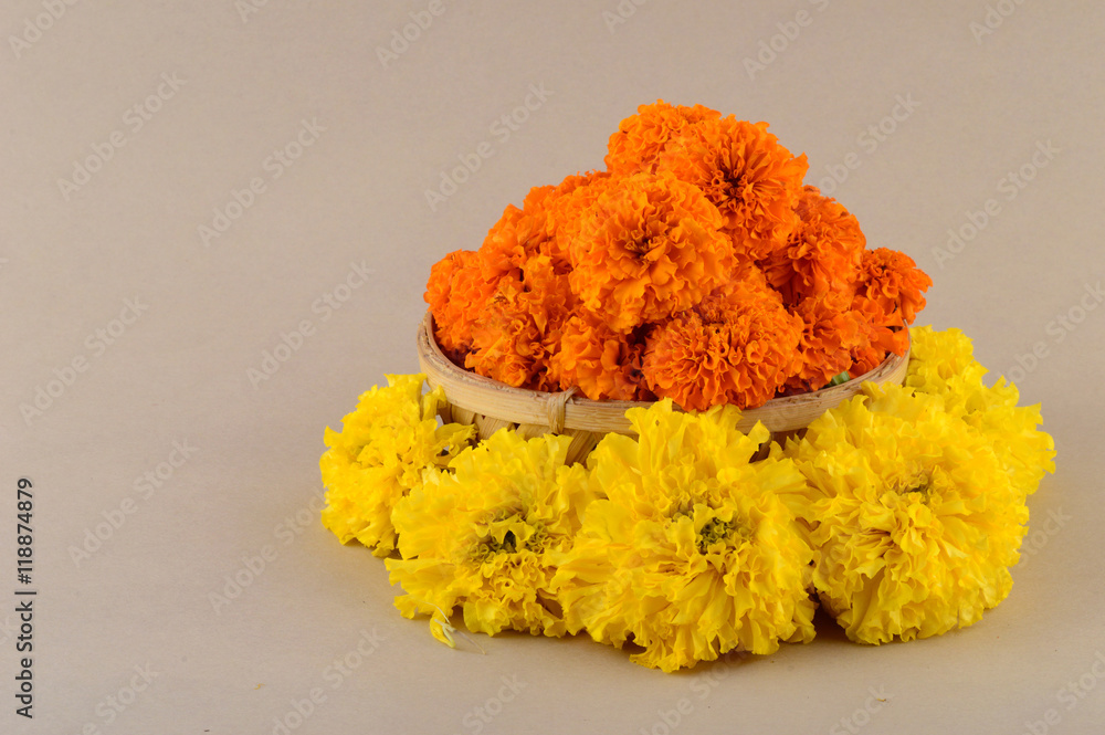 Marigold (Zendu Flowers) flowers in a bamboo basket. Stock Photo