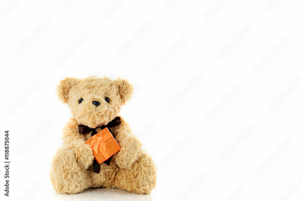 Teddy bear holding gift box isolated on white background,with co