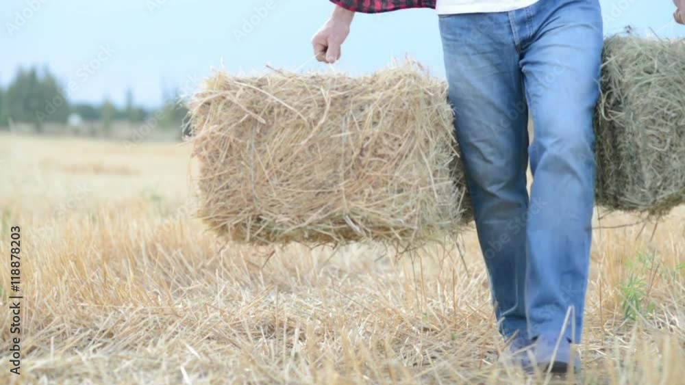 portrait of farmer and harvest. strawbale in hands portrait of farmer and harvest. strawbale in hands