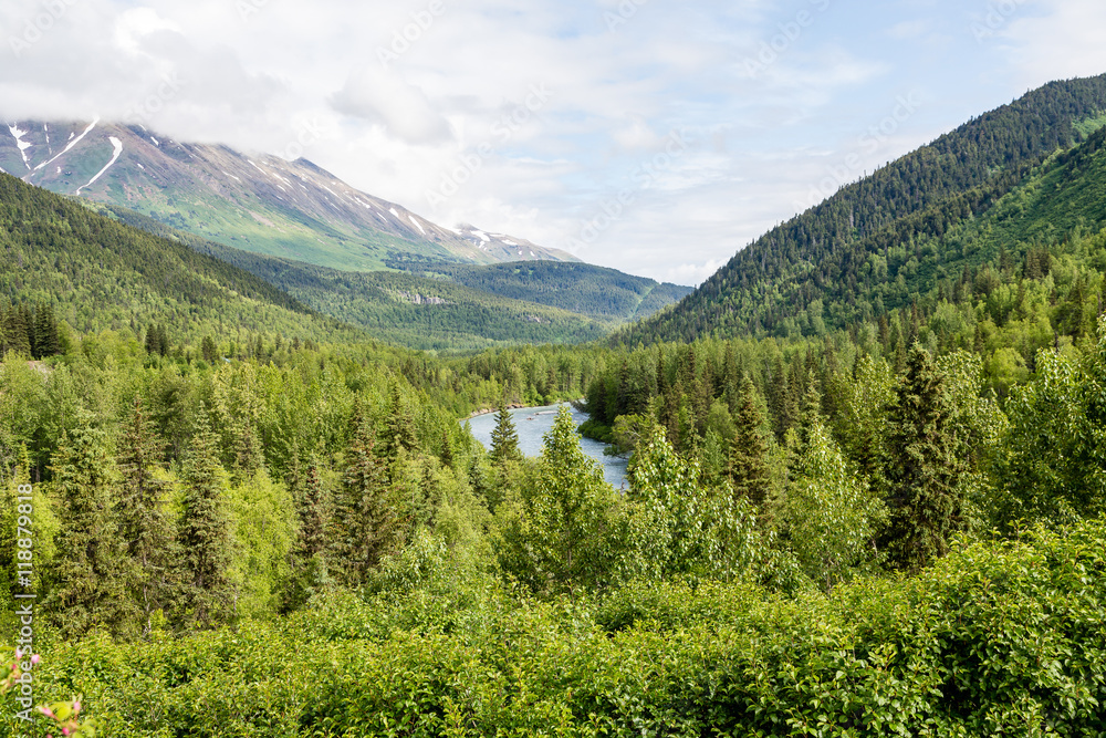 Mountain Stream in Alaska