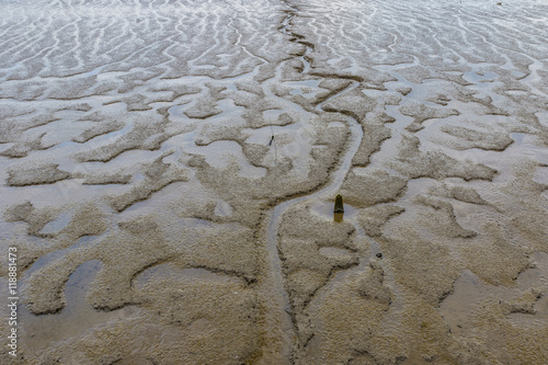Nature Abstract: Mud appear at low tide along River Thames