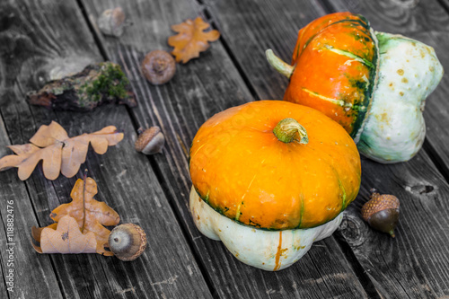 small pumpkin on wooden background, autumn © puhimec