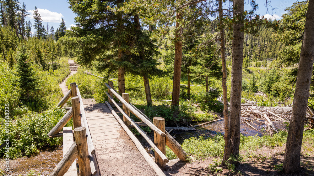 Small footbridge over Lupine Creek. Amazing summer landscape in the mountains. Path through a green fir forest. Wraith Falls, Yellowstone National Park, Wyoming Small footbridge over Lupine Creek. Amazing summer landscape in the mountains. Path through a green fir forest. Wraith Falls, Yellowstone National Park, Wyoming
