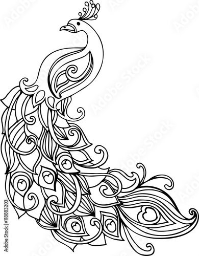 Hand drawn colorful doodle peacock illustration for coloring book