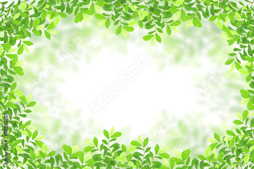 green leaves frame on white background.