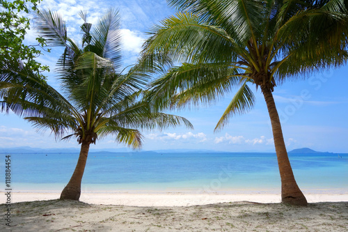 Fototapeta Naklejka Na Ścianę i Meble -  beautiful tropical beach with coconut palm trees on Blue sky and sea in the background