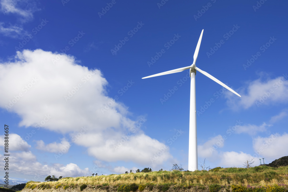 wind turbines in eolic farm , electric wind generators, renewable energy wind turbines in eolic farm , electric wind generators, renewable energy