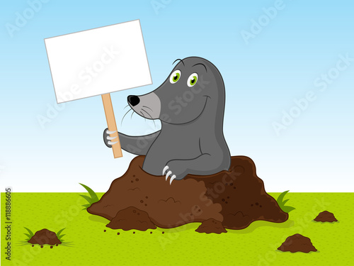 Cartoon Mole Vector Illustration.