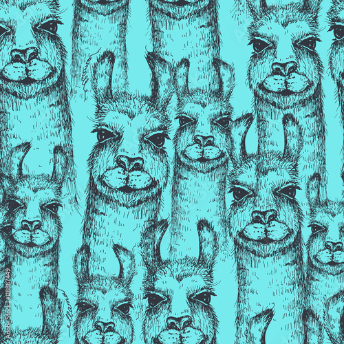 Vector lama heads seamless pattern. Llama or alpaca hand drawn ink sketch. Cute mammal animal drawing