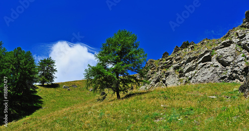 Alpien valley, Gran Paradiso National Park