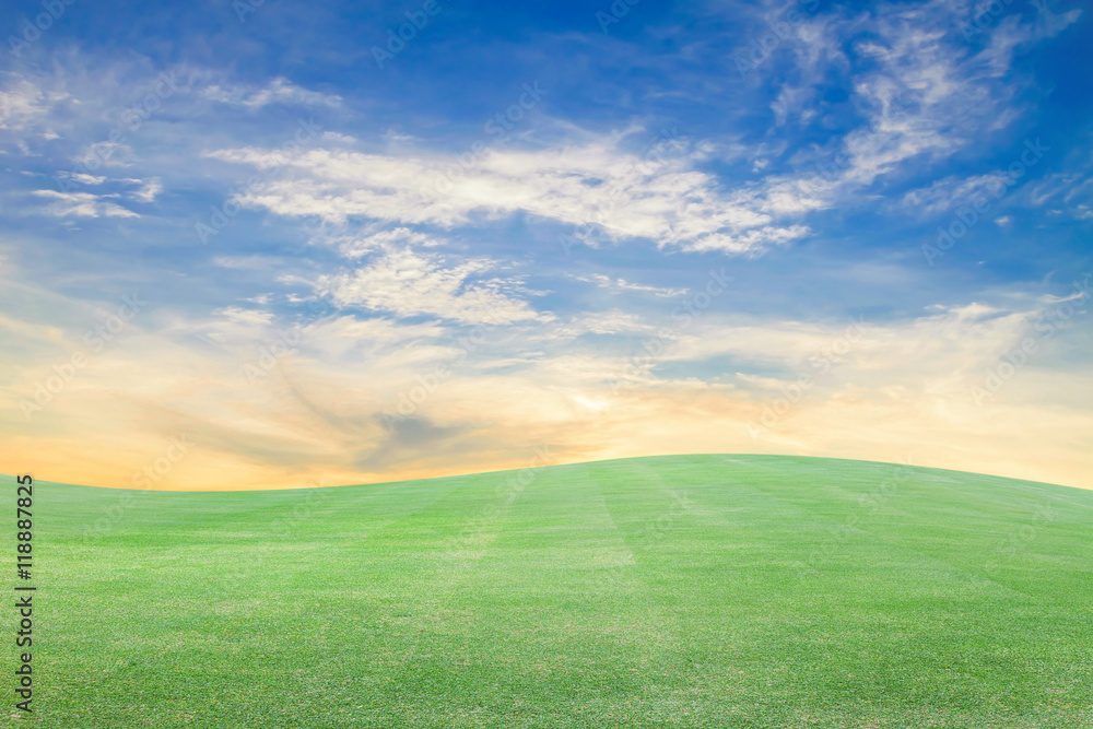green field and beautiful blue sky background.