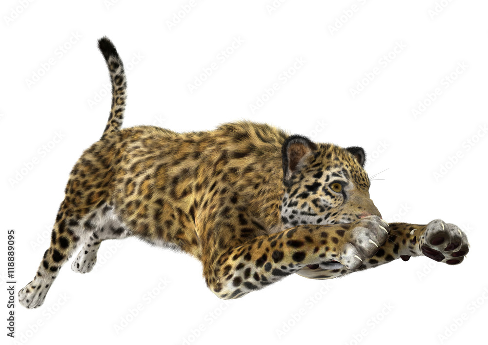 Naklejka premium 3D Rendering Big Cat Jaguar