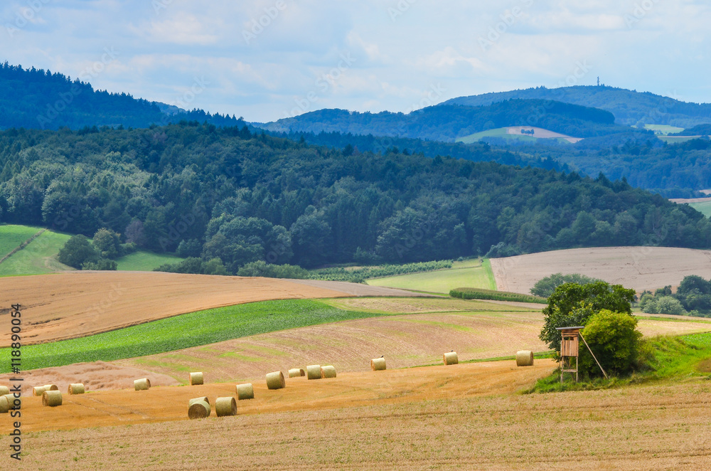 Obraz premium Kulturlandschaft im Odenwald Deutschland