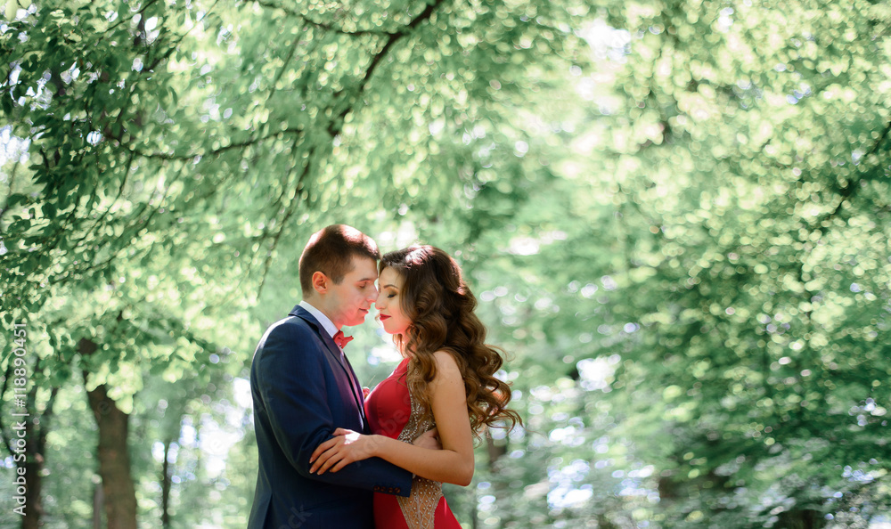 Look from below at calm wedding couple kissing under green branc Look from below at calm wedding couple kissing under green branc