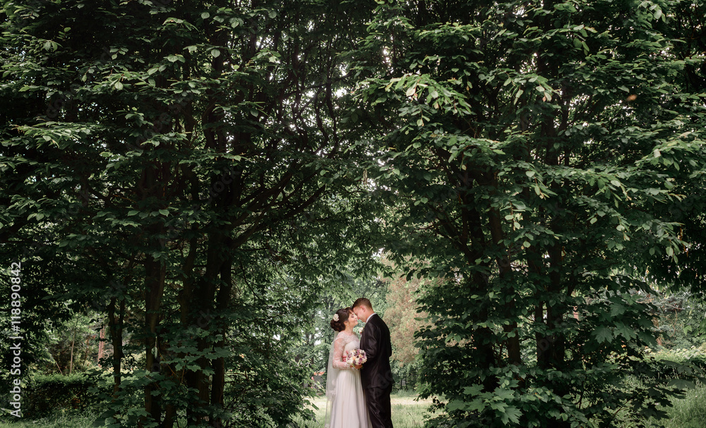 Dreamy wedding couple stands between the trees in green forest Dreamy wedding couple stands between the trees in green forest