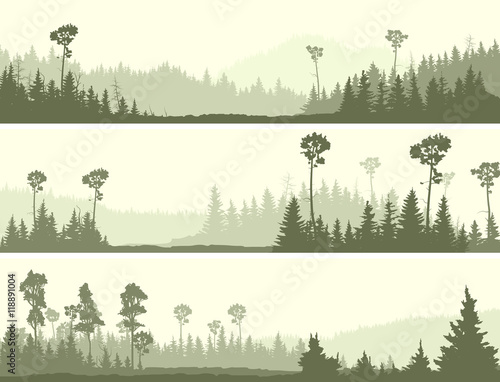 Horizontal banners of wild coniferous wood with glade.