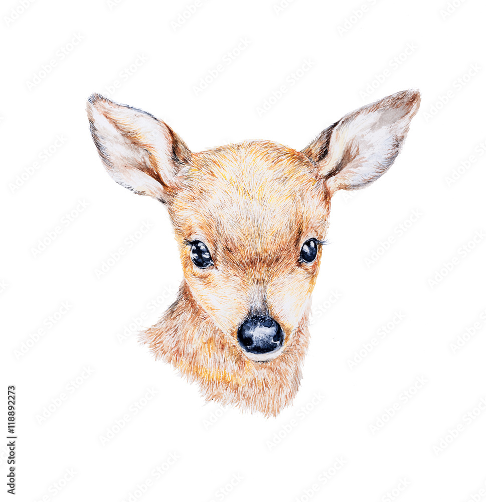 Naklejka premium Watercolor painting a small deer