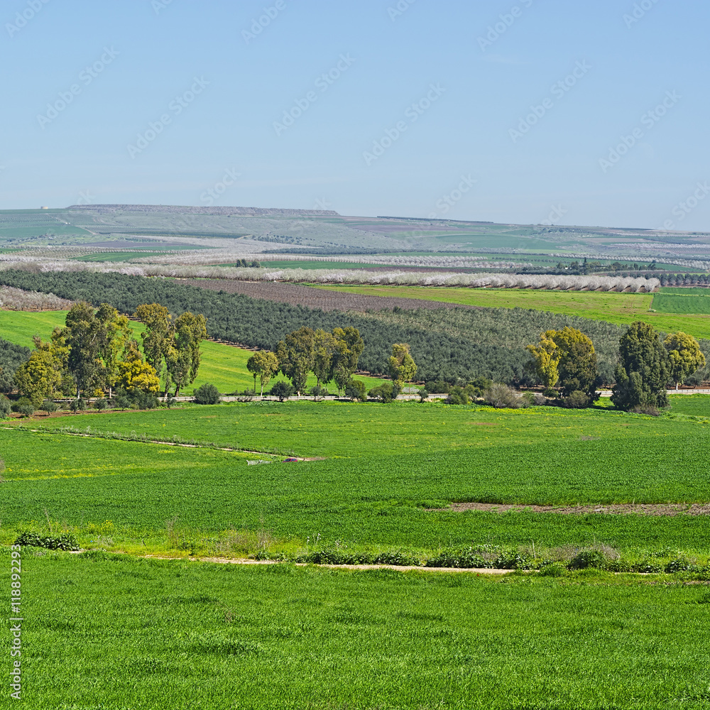 Jezreel Valley in Israel