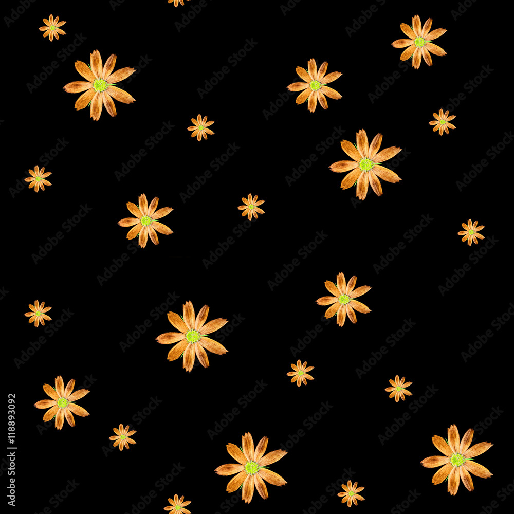 Neon watercolor pattern of a cosmos flowers Neon watercolor pattern of a cosmos flowers
