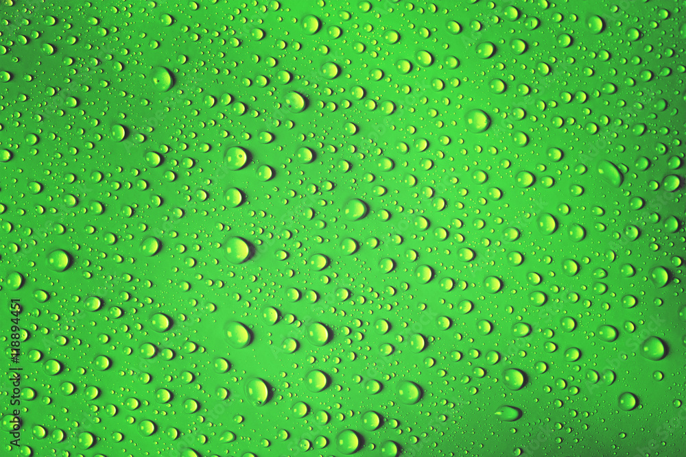 water drop on fresh green background