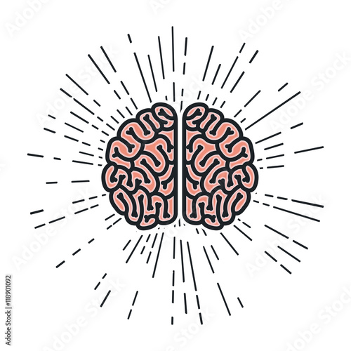 brain storm isolated icon vector illustration design