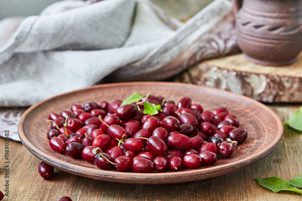Bright red berries of cornel or dogwood on plate Bright red berries of cornel or dogwood on plate