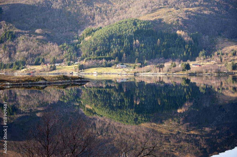 Naklejka premium Norwegian fjord