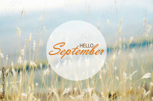 Hello September wallpaper, autumn background with dried plants photo