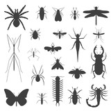 Silhouettes, icons of different insects.