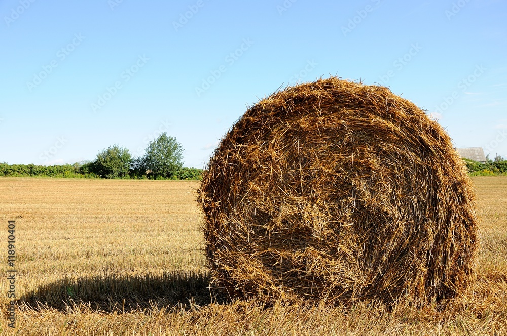 straw bale on the field