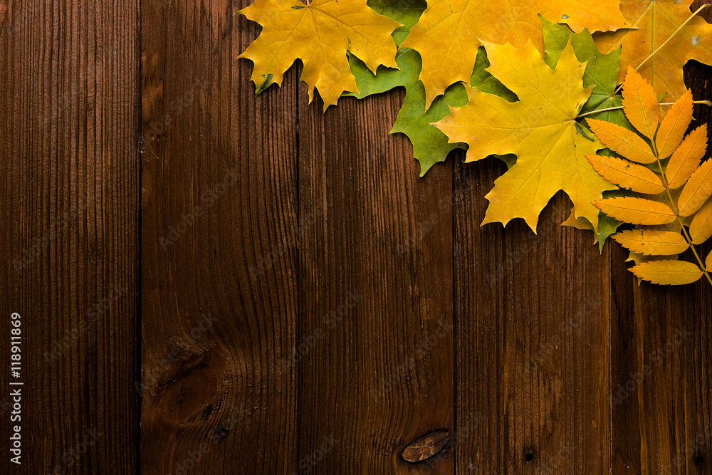 Autumn leaves over old brown wooden background with empty space Autumn leaves over old brown wooden background with empty space