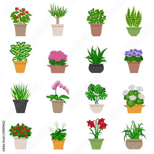Houseplant Icons Set 